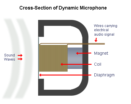 mic-dynamic